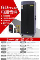3 voies 400W 12V 40ah Plomb Batterytemeisheng Double 15 Pouces À Piles Portatif de Partie USB Subwoofer Usage Domestique haut-parleur