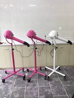 Séchoir à peluches en plastique moderne pour petits animaux et animaux de compagnie pour outils de toilettage pour chiens et chats