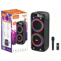 Enceinte Karaoké Professionnelle avec Micros, Enceinte Portable 20W*2 Double Bass RGB pour KTV à Domicile, Fêtes en Extérieur et Spectacles Commerciaux (Vente en Gros)