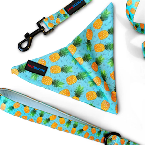 Imbracatura per cani morbida in neoprene regolabile da TOPBUDDY XXXS a <span class=keywords><strong>XXL</strong></span> di alta qualità - Product Image 6