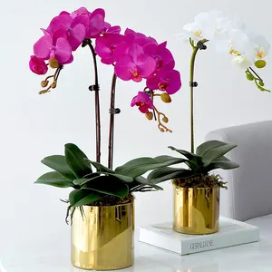 De calidad superior de China proveedor de seda Artificial toque Real flor de la orquídea madre sucursal en florero