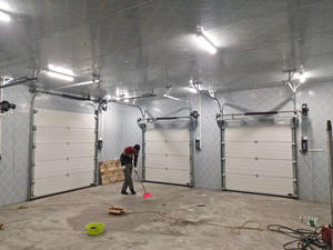 <span class=keywords><strong>Porte</strong></span> <span class=keywords><strong>de</strong></span> <span class=keywords><strong>garage</strong></span> <span class=keywords><strong>sectionnelle</strong></span> en acier à levage vertical automatique avec panneau isolé pour villa et entrepôt - Product Image 2