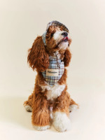 Bandana personnalisé d'accessoires pour animaux de compagnie pour chiens. Écharpe triangulaire à la mode rétro mignonne à carreaux bleus pour teckel