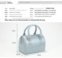 2026 Lente Zomer Hot-Selling Enkelbands Schoudertas Transparante Mini Kussen Jelly Rits Casual Dames Emmersak