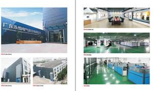 6L OEM thiết kế mới ống khói Loại áp lực nước thấp Geyser hiển thị nhiệt độ LPG ng Máy nước nóng khí - Product Image 4