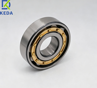 Roulement à rouleaux cylindriques à une rangée N305EM |   Alésage de 25 mm x diamètre extérieur de 62 mm |   Cage en laiton usiné |   Capacité de charge radiale élevée