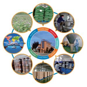 Complément alimentaire extrait de racine de betterave poudre de bétanine pigment naturel - Product Image 2