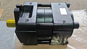 Pompe à engrenages hydraulique interne haute pression QX62-125/62-125/63-080R QX62-125/62-125/53-040R QX62-125/62-125/33-012R QX63-125R09 - Product Image 6