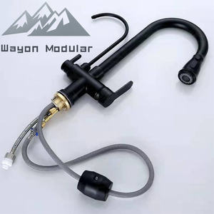 Keran Dapur Multifungsi Wayon Hitam 2 in 1 dengan Semprotan Tarik dan Filter Air untuk Wastafel - Product Image 4