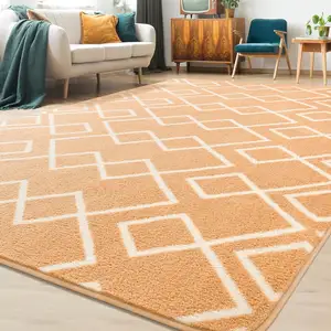 Luxe Decoratie Groothandel Nordic Geometrisch Woonkamer Tapijt Grote Maat Pluizige Mat Faux Bont Zachte Alfombra Oppervlakte Vloerkleden