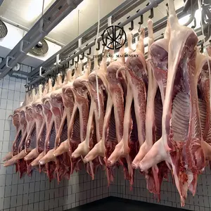 Pork Slaughtering Equipment Sow Abattoir Slaughterhouse Machine Line With Cold Room Meat Fast Frozen Track System