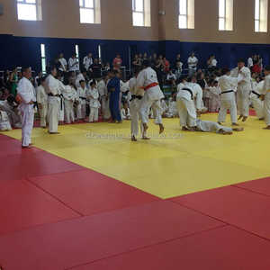 Vente en gros de tapis de judo PE PVC PU 4cm-6cm d'épaisseur pour la <span class=keywords><strong>gymnastique</strong></span> Tatami Atterrissage Grappling Taekwondo Arts martiaux - Product Image 3