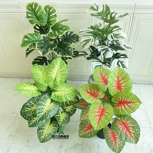 Bán Sỉ Cây Lá Nhiệt Đới Lớn Cây Cảnh Giả Hình Quái Vật Thường Xanh Bằng Nhựa Trong Chậu Để Trang Trí Sân Vườn Văn Phòng Tại Nhà - Product Image 3