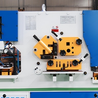Q35Y-16 Maßgefertigte Hydraulische Kombinierte Eisenbearbeitungsmaschine 60 Tonnen Blechstanz- und Scherwerkzeug Plattenbearbeitungsgerät
