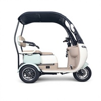 Tricycles électriques longue portée 60v 1000w pour passagers, tricycles électriques à 3 roues pour adultes avec toit