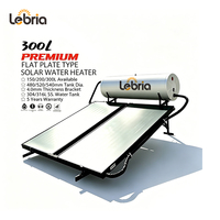 Chauffe-eau solaire pressurisé à plaque plate intégré puissant Lebria 300L pour installation sur toit résidentiel