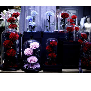 جرة جرس على شكل قبة للبيع بالجملة بأفضل جودة زجاجي محفوظ للزهور وردية صندوق كرتون فنون شعبية OEM ODM جرس زجاجي بقاعدة مضيئة - Product Image 4