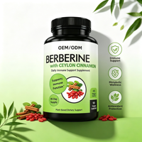 Complément Herbal OEM/ODM : Capsules de Berbérine Phytosome et Cannelle de Ceylan – Soutient la Fonction Immunitaire – Usage Adulte – 90 Capsules/Flacon