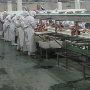 Maison d'<span class=keywords><strong>abattoir</strong></span> Mobile industriel pour lastking, toilettes de vache, animaux de semis et <span class=keywords><strong>mouton</strong></span> pour le bétail à ressort - Product Image 5