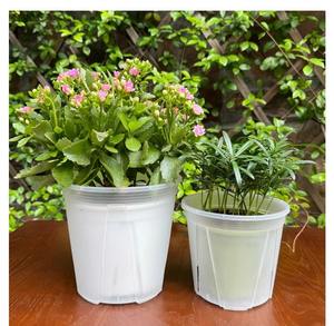 Blanc Vert Montagne Bassin Racine Contrôle Respirant Gallon Bassin Rose <span class=keywords><strong>Hortensia</strong></span> <span class=keywords><strong>Fraise</strong></span> Rempotage Pot De Fleurs En Plastique - Product Image 5