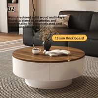 Table basse vintage en bois avec structure en fer et espace de rangement, sans assemblage requis, idéale pour la maison et le salon