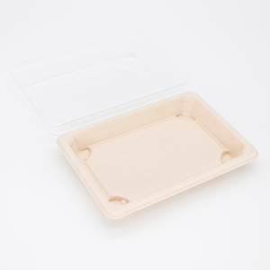 Phân hủy sinh học mía bã mía thực phẩm Sushi khay thân thiện với môi compostable dùng một lần OK-compost chứng nhận cắm trại sử dụng - Product Image 6