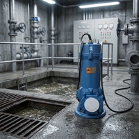 Pompe à eaux usées submersible WQ Automotive Industry, haute pression, moteur triphasé OEM, garantie 1 an