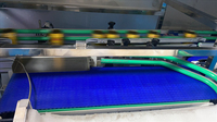 Système d'inspection par vision OCR avec convoyeur, machine d'inspection visuelle automatisée pour bouteilles et emballages