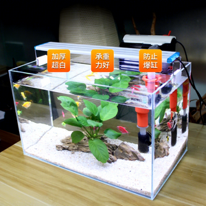 حوض أسماك زجاجي فاخر داخلي فائق الوضوح وصديق للبيئة عالي الجودة من شيلونغ - Product Image 3