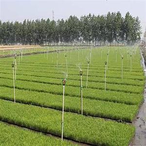 Conception libre <span class=keywords><strong>dessin</strong></span> libre systèmes d'irrigation à grande échelle système d'irrigation à mouvement latéral système d'irrigation goutte à goutte pour la riziculture - Product Image 6