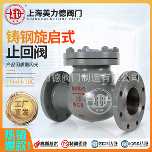 H44H-16C Cast Steel Flanged Swing Check Valve For Water Normal Temperature Wcb Body Rubber <b>Seal</b> - Product Image 5
