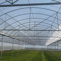 Structure galvanisée à chaud Structure galvanisée à chaud Serre de style chinois 1000 M2 Serre multi-spans recouverte de film