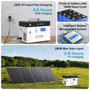 Générateur d'énergie <span class=keywords><strong>portable</strong></span> SLIWAN à onduleur pur sinusoïdal haute efficacité 1KW pour stockage d'énergie solaire et alimentation de secours - Product Image 2