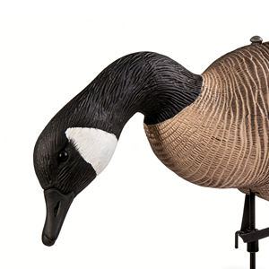 Señuelo de Ganso Gris Plegable al por Mayor - Señuelo de Caza Plegable 3D de EVA Suave con Estaca para Uso en Exteriores - Product Image 3