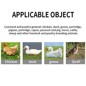 Produits de santé animale axés sur les probiotiques Fonction protectrice du foie et des reins Bovins Bovins Vache Mouton Chèvre et Cheval Additifs alimentaires - Product Image 3