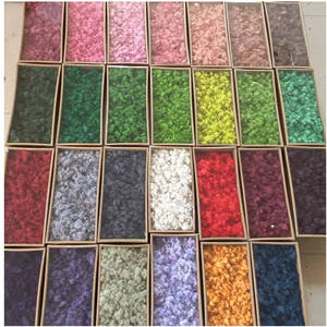 Vente en gros de <span class=keywords><strong>mousse</strong></span> <span class=keywords><strong>et</strong></span> de lichens stabilisés plantes vertes durables pour la maison, l'art mural, le terrarium <span class=keywords><strong>et</strong></span> la décoration de mariage - Product Image 6