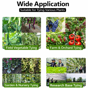Machine robuste pour le ligature des plantes, idéale pour le soutien des vignes, des tomates et des fruits <span class=keywords><strong>de</strong></span> <span class=keywords><strong>la</strong></span> <span class=keywords><strong>passion</strong></span> - Product Image 6