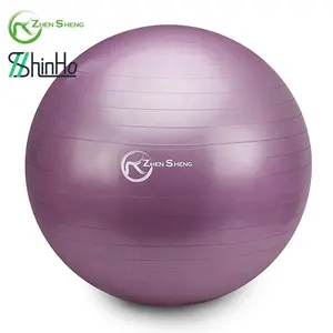 Gym Ball Zhensheng Custom Logo Yoga Ball Gym Exercise Ball Fitness Equipment Gym Exercise Accessory Pilates Ball