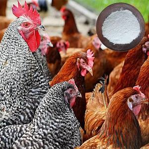 99.9% 高純度L-Methionine/ DL-Methionineパウダー/DL-Met/Methinaフィードグレードアミノ酸CAS 59-51-8中国製 - Product Image 5