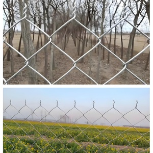 Nhà máy đang bán tốt. Dây lưới số 9 cho nhà vườn lưới trang trại động vật mạng - Product Image 5