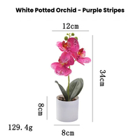 LILIS Künstliche Phalaenopsis 34cm Realistische Einzelstängelblume |   Hochwertige Leichtgewichtige Umweltfreundliche Geruchlose Orchidee für Chinesisches Neujahr