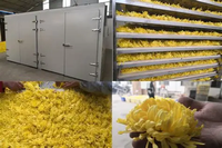 JIADA Luchtbron Warmtepomp Droger voor Fruit en Groentechips |   Hoge-temperatuur dehydrator voor groenteverwerking 380V energiezuinig