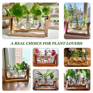 Estación de propagación de plantas Terrario de plantas con soporte de madera Regalos únicos de <span class=keywords><strong>cumpleaños</strong></span> de jardinería <span class=keywords><strong>para</strong></span> mujeres Amantes de las plantas Jarrones de vidrio - Product Image 4