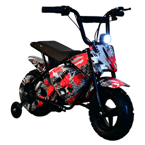 Precio Económico MAXSPEED 250DH 500W 36V Motor con Escobillas, Batería de Plomo-Ácido, Neumáticos, 40km/h, Motor de 500W / 800W / 1000W - Product Image 6