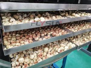 Machine de lyophilisation sous vide pour crevettes Flysun, équipement de lyophilisation des fruits de mer, machine de séchage des fruits de mer - Product Image 3