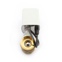 Vanne à boisseau sphérique électrique micro bidirectionnelle DN32 en acier au carbone avec construction en laiton et plastique pour milieux aqueux et acides, prise en charge OEM ODM