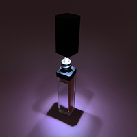 Gloss à lèvres LED avec miroir, logo personnalisé, haute qualité, végan, rouge à lèvres liquide imperméable, non collant, tubes de gloss à lèvres vides