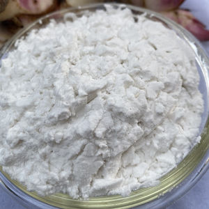 Best Quality Natural Organic Arrowroot powder made in Viet Nam - Product Image 1