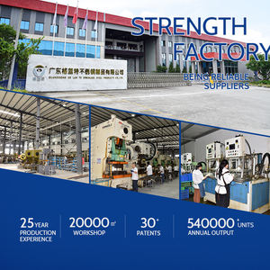 2013-2016 लेक्सस Ls460 कार ड्राल लाइट गाइड ट्यूब दिन चलने वाली लाइट स्ट्रिप बार गाइड प्लेट हेडलाइट दिन चलने वाली रोशनी - Product Image 6