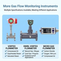 Débitmètre massique thermique antidéflagrant avec sonde en acier inoxydable, débitmètre numérique pour le traitement de l'eau et la surveillance des conduites